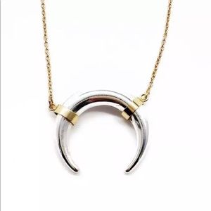 Silver Horn Necklace